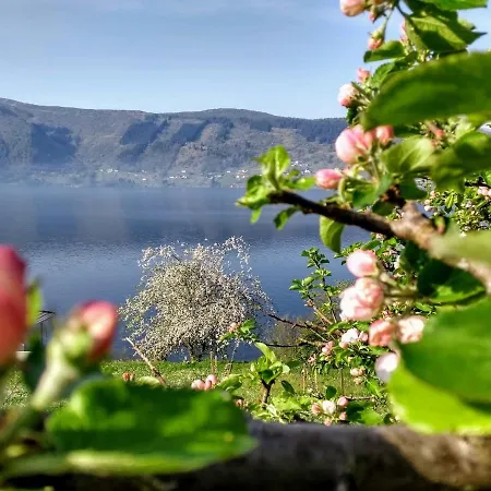 Sofia's House With Fjord View - 30 Min From Bergen Holiday home *